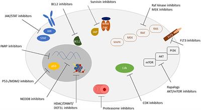 Molecular Approaches to Treating Pediatric Leukemias